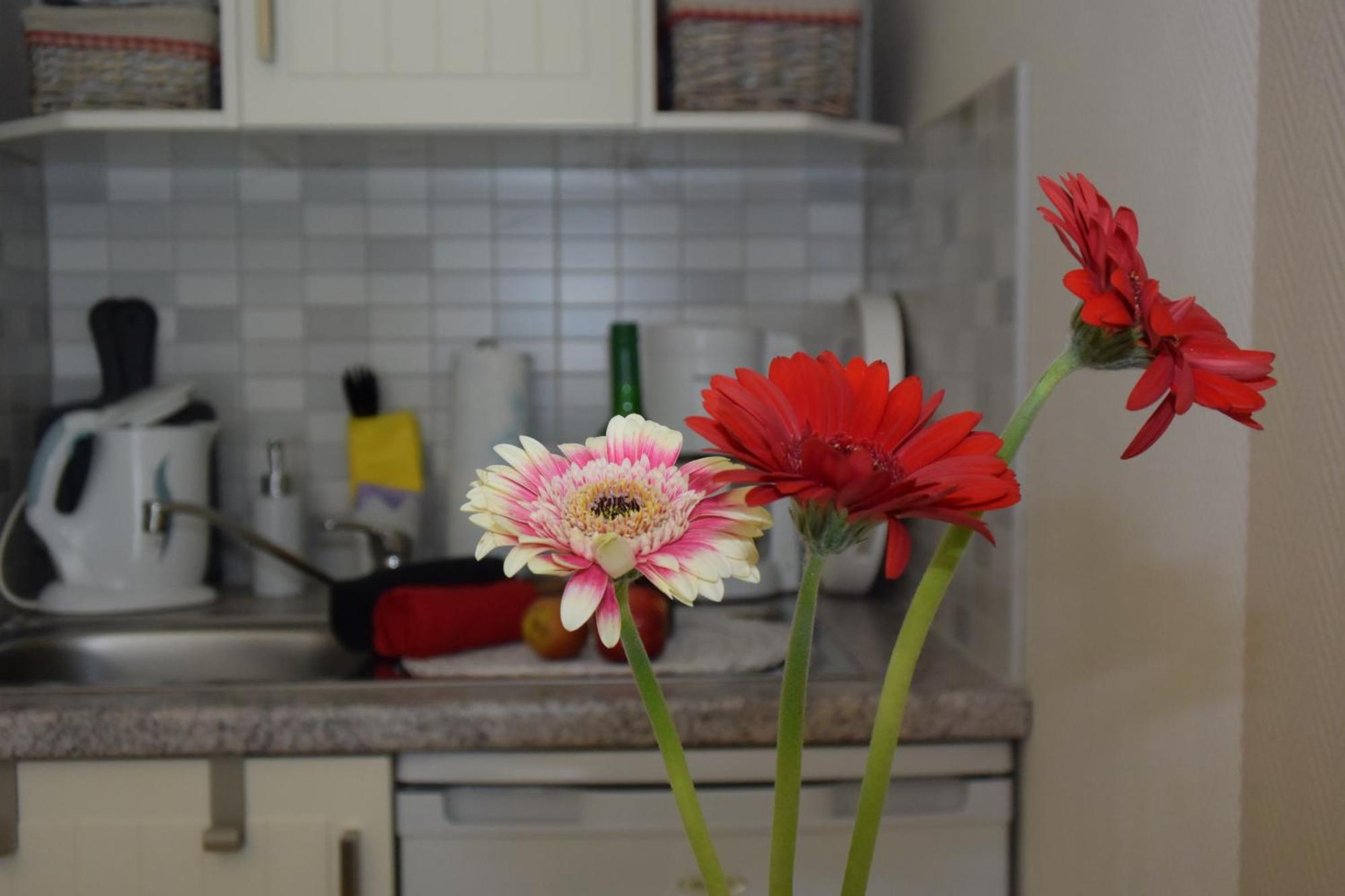 Ferienapartments Urlaub Und Meer Ostseebad Kühlungsborn Δωμάτιο φωτογραφία