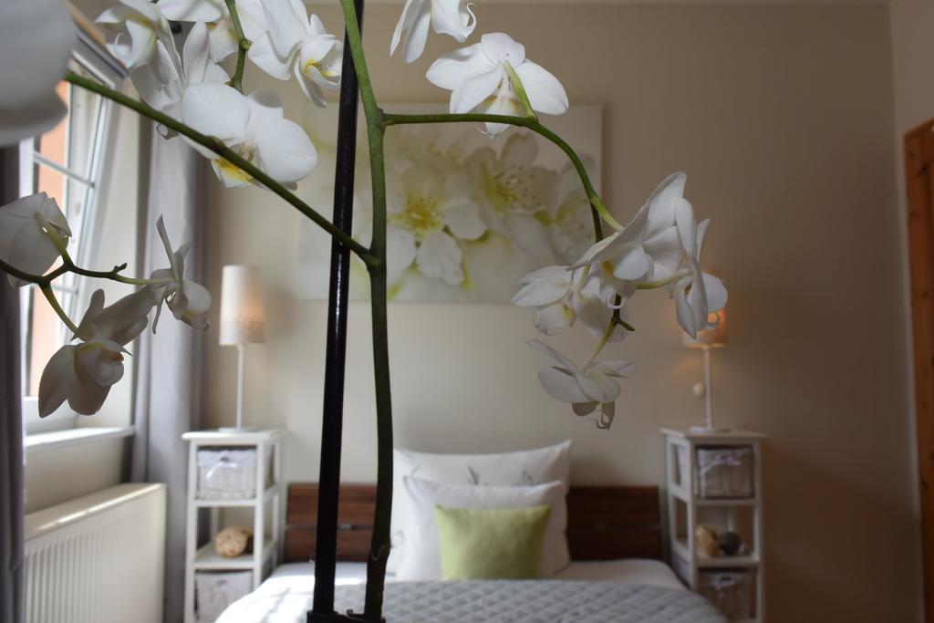 Ferienapartments Urlaub Und Meer Ostseebad Kühlungsborn Εξωτερικό φωτογραφία